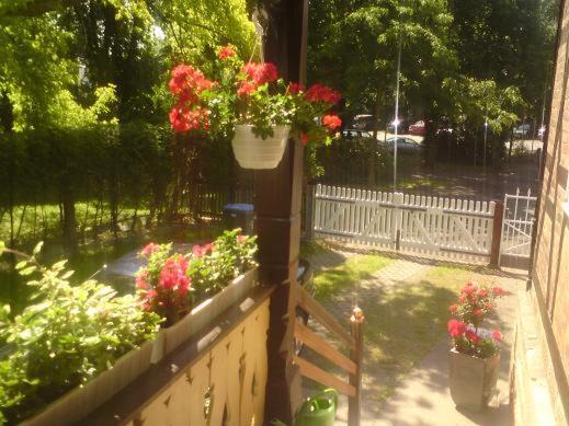 Haus Amelie Apartment Bad Salzungen Luaran gambar